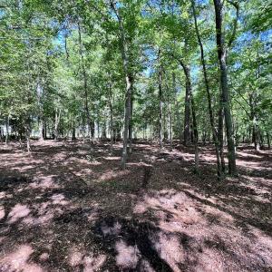 Photo #22 of Lot 70 Winfield Lane, Pinetown, NC 1.7 acres