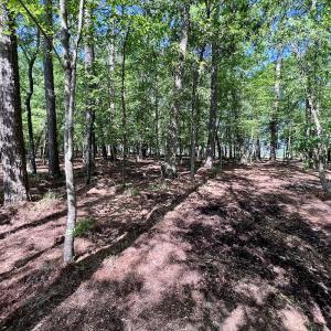 Photo #23 of Lot 70 Winfield Lane, Pinetown, NC 1.7 acres
