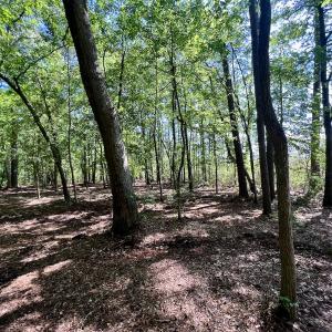 Photo #24 of Lot 70 Winfield Lane, Pinetown, NC 1.7 acres