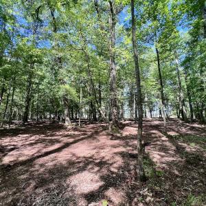 Photo #25 of Lot 70 Winfield Lane, Pinetown, NC 1.7 acres