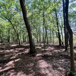 Photo #26 of Lot 70 Winfield Lane, Pinetown, NC 1.7 acres