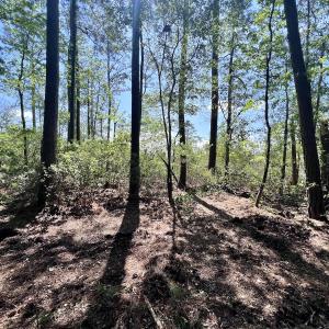 Photo #27 of Lot 70 Winfield Lane, Pinetown, NC 1.7 acres