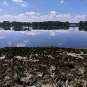 Photo #28 of Lot 70 Winfield Lane, Pinetown, NC 1.7 acres