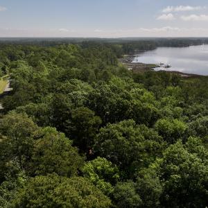 Photo #5 of Lot 70 Winfield Lane, Pinetown, NC 1.7 acres