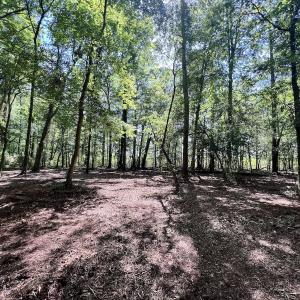 Photo #6 of Lot 70 Winfield Lane, Pinetown, NC 1.7 acres