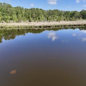 Photo #9 of Lot 70 Winfield Lane, Pinetown, NC 1.7 acres