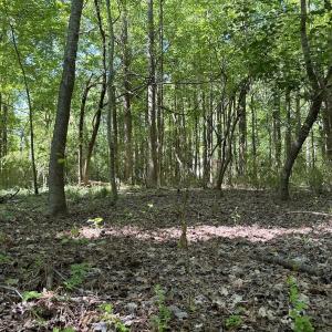 Photo #26 of Off Old County Rd, Belhaven, NC 1.0 acres