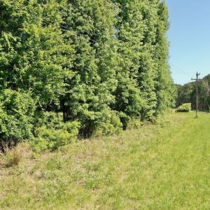 Photo #47 of Off Old County Rd, Belhaven, NC 1.0 acres
