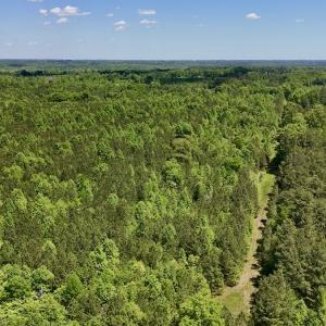 Photo #11 of SOLD property in Off Perry Town Rd, Warrenton, NC 12.9 acres