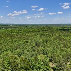 Photo #12 of SOLD property in Off Perry Town Rd, Warrenton, NC 12.9 acres