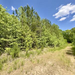 Photo #13 of SOLD property in Off Perry Town Rd, Warrenton, NC 12.9 acres