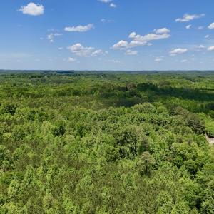 Photo #15 of SOLD property in Off Perry Town Rd, Warrenton, NC 12.9 acres