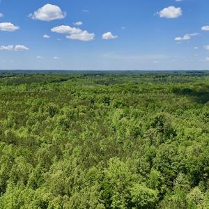 Photo #16 of SOLD property in Off Perry Town Rd, Warrenton, NC 12.9 acres