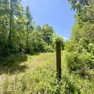 Photo #18 of SOLD property in Off Perry Town Rd, Warrenton, NC 12.9 acres