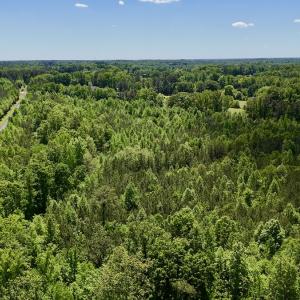 Photo #19 of SOLD property in Off Perry Town Rd, Warrenton, NC 12.9 acres