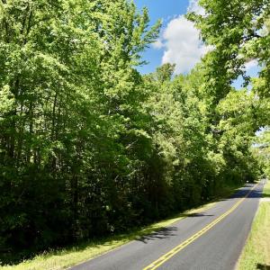 Photo #20 of SOLD property in Off Perry Town Rd, Warrenton, NC 12.9 acres