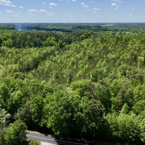 Photo #3 of SOLD property in Off Perry Town Rd, Warrenton, NC 12.9 acres