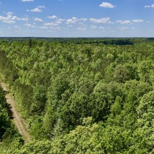 Photo #21 of SOLD property in Off Perry Town Rd, Warrenton, NC 12.9 acres