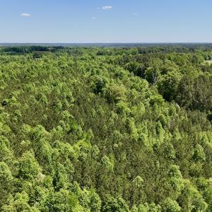 Photo #22 of SOLD property in Off Perry Town Rd, Warrenton, NC 12.9 acres