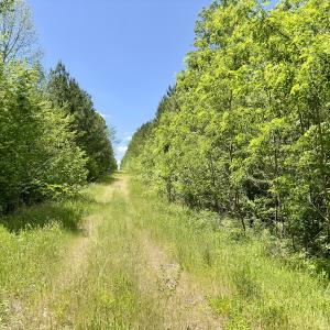 Photo #23 of SOLD property in Off Perry Town Rd, Warrenton, NC 12.9 acres