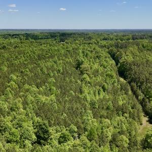 Photo #24 of SOLD property in Off Perry Town Rd, Warrenton, NC 12.9 acres