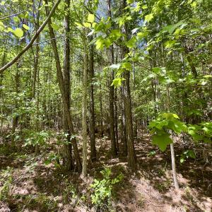 Photo #25 of SOLD property in Off Perry Town Rd, Warrenton, NC 12.9 acres