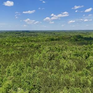 Photo #26 of SOLD property in Off Perry Town Rd, Warrenton, NC 12.9 acres