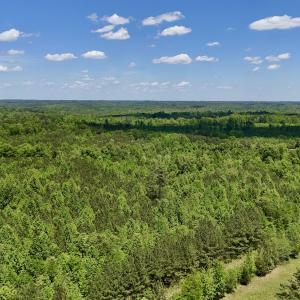 Photo #27 of SOLD property in Off Perry Town Rd, Warrenton, NC 12.9 acres