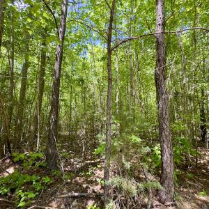 Photo #28 of SOLD property in Off Perry Town Rd, Warrenton, NC 12.9 acres