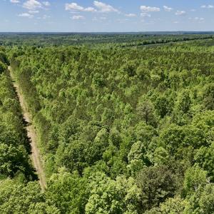 Photo #4 of SOLD property in Off Perry Town Rd, Warrenton, NC 12.9 acres