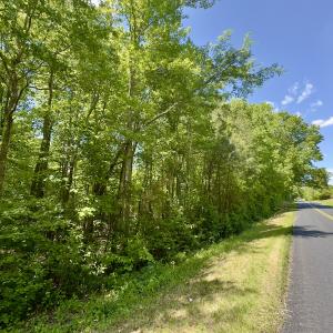 Photo #5 of SOLD property in Off Perry Town Rd, Warrenton, NC 12.9 acres