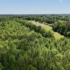 Photo #6 of SOLD property in Off Perry Town Rd, Warrenton, NC 12.9 acres