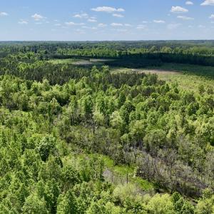 Photo #8 of SOLD property in Off Perry Town Rd, Warrenton, NC 12.9 acres