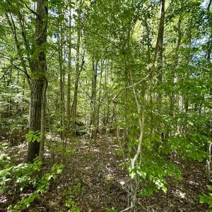 Photo #9 of SOLD property in Off Perry Town Rd, Warrenton, NC 12.9 acres