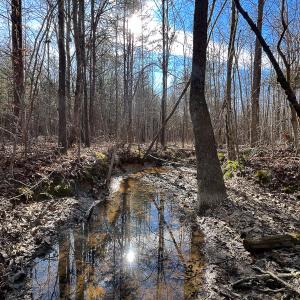 Photo #30 of SOLD property in 268 S Airport Road, Farmville, VA 187.1 acres