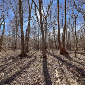 Photo #33 of SOLD property in 268 S Airport Road, Farmville, VA 187.1 acres