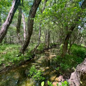 Photo #34 of SOLD property in 268 S Airport Road, Farmville, VA 187.1 acres