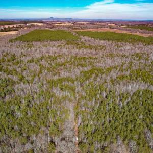 Photo #36 of SOLD property in 268 S Airport Road, Farmville, VA 187.1 acres