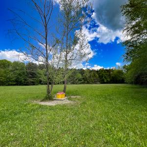 Photo #38 of SOLD property in 268 S Airport Road, Farmville, VA 187.1 acres