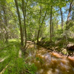 Photo #45 of SOLD property in 268 S Airport Road, Farmville, VA 187.1 acres