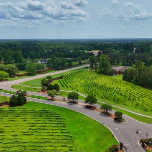 Photo #34 of SOLD property in 145 Cellars Way, Wallace, NC 0.5 acres