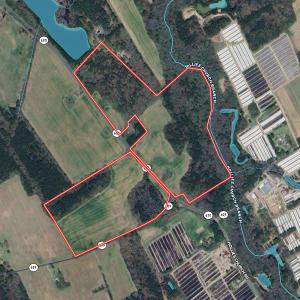 Photo #1 of SOLD property in Off Hollies Church Rd, Melfa, VA 95.7 acres