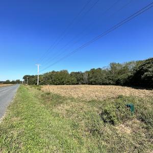Photo #12 of SOLD property in Off Hollies Church Rd, Melfa, VA 95.7 acres