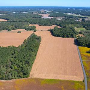 Photo #2 of SOLD property in Off Hollies Church Rd, Melfa, VA 95.7 acres