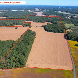 Photo #3 of SOLD property in Off Hollies Church Rd, Melfa, VA 95.7 acres