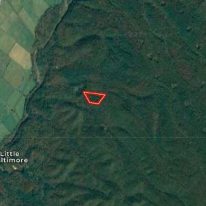 Photo #30 of SOLD property in 208 Jakes Ln, Deerfield, VA 6.1 acres