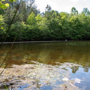 Photo #14 of SOLD property in Off E Indian Caves Rd, Nathalie, VA 20.4 acres