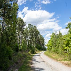Photo #25 of SOLD property in Off E Indian Caves Rd, Nathalie, VA 20.4 acres