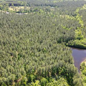 Photo #4 of SOLD property in Off E Indian Caves Rd, Nathalie, VA 20.4 acres
