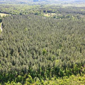 Photo #6 of SOLD property in Off E Indian Caves Rd, Nathalie, VA 20.4 acres